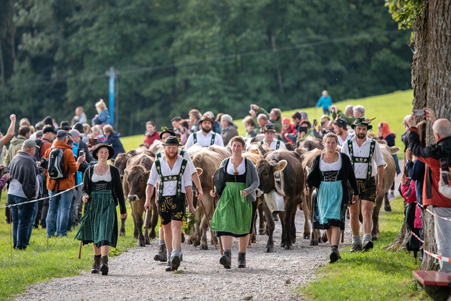 Viehscheid Almabtrieb Nesselwang im Allgäu